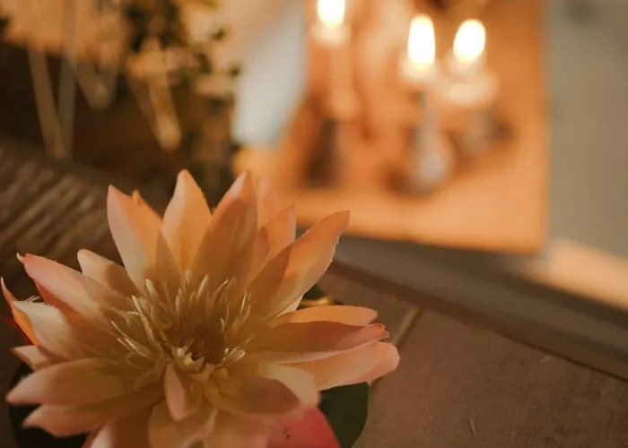 Bliss Insolite Jacuzzi Privee 5 Min Centre شقة *